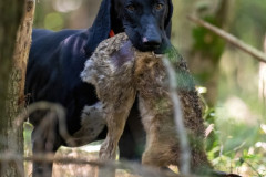 20250907_094436_A1_01646-De