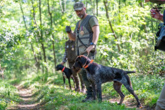 20250907_095910_A1_01913-De