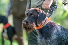 20250907_095917_A1_01917-De