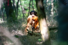 20250907_100153_A1_01973-De