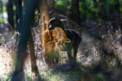 20250907_101000_A1_02082-De