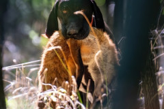 20250907_101002_A1_02095-De