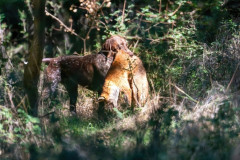 20250907_102041_A1_02252-De