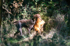 20250907_102041_A1_02262-De