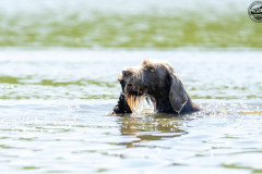 20250907_105900_A1_02348-De