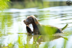 20250907_105919_A1_02448-De