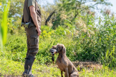 20250907_105936_A1_02536-De