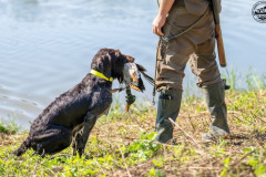 20250907_110153_A1_02606-De