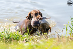 20250907_110316_A1_02645-De