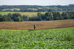 20250907_133110_A1_03092-De