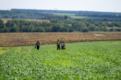 20250907_133502_A1_03142-De