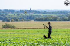 20250907_133750_A1_03312-De