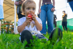 20250907_175229_A1_03980-De