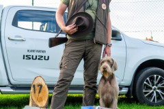 20250907_182611_A1_04751-De