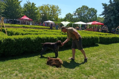 IMG_20260523_135106