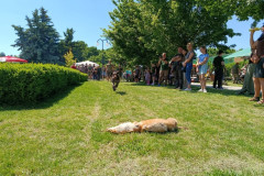 IMG_20260523_135229