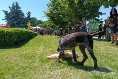 IMG_20260523_135231
