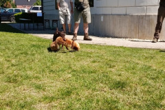 IMG_20260523_135437