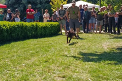 IMG_20260523_135813