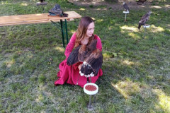 IMG_20260523_150837
